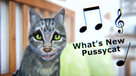 Whats New Pussycat Tom Jones Cover Youtube