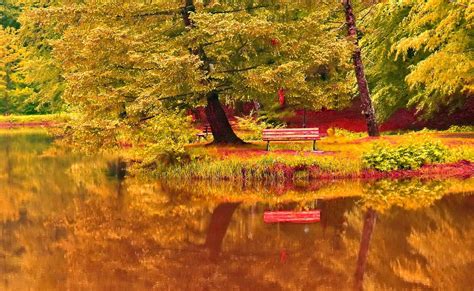 Bench In Autumn Park Wallpaper Nature And Landscape Wallpaper Better