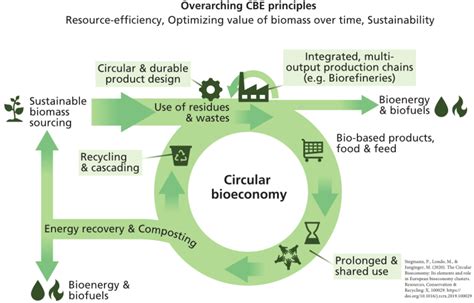 Circular Bioeconomy And Bioenergy C Green