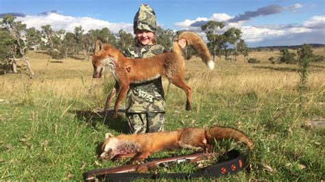 Silva Fox Whistles In Action With Aussie Feral Game Hunters Youtube