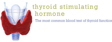 Thyroid Stimulating Hormone Dr Pepis Health Tips Dr Pepis Health Tips