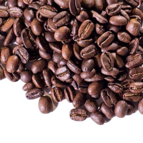 Organic Papua New Guinea Medium Friedrichs Coffee