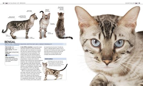 The over 450 breeds are thoroughly researched and represent canines from around the world. Download The Complete Cat Breed Book (DK Publishing) (2013 ...