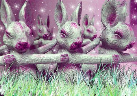 Pink Bunnies In The Grass Free Stock Photo Public Domain Pictures