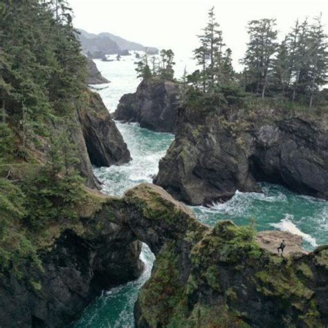 Oregon Coast 101 Scenic Drive The Nature Seeker