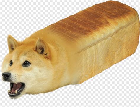 Ð) is a cryptocurrency invented by software engineers billy markus and jackson palmer, who decided to create a payment system that is instant. Doge Dog Face - apsgeyser