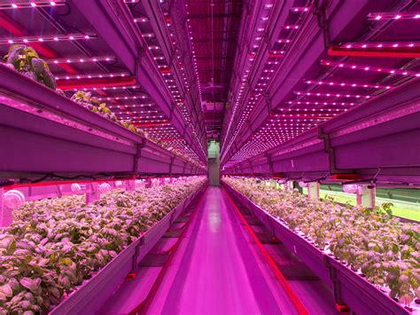 The future of agriculture is an indoor vertical farm half the size of a ...