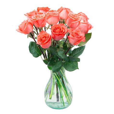 Arabella Bouquets Farm Direct Bouquet Of 12 Fresh Cut Orange Roses With