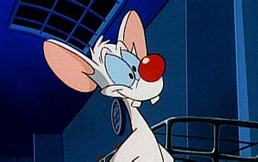 1 about gossamer 2 filmography 3 notes 4 gallery 5 references the character is often a hairy, red monster, although in the looney tunes show, he was more of an orange tone. Idea by AhmDahaB on Pinky and the Brain | Animaniacs ...