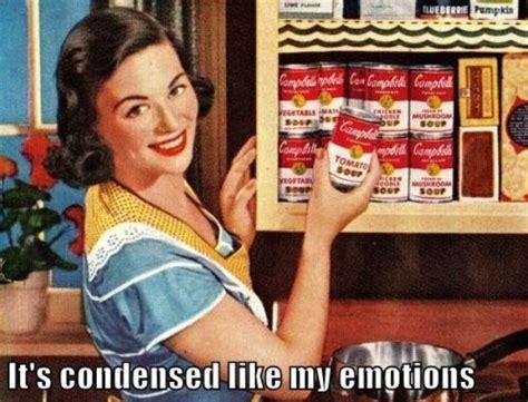 sarcastic 1950s housewife memes that hit oh so close to home team jimmy joe funny pictures