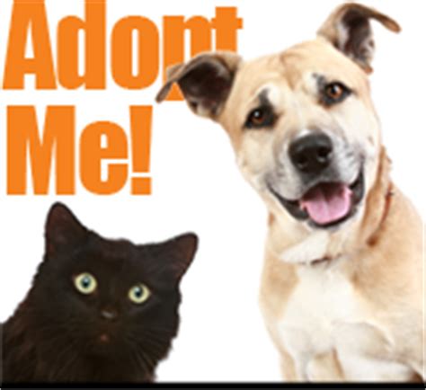 She consults on behavior modification for problem behaviors commonly seen in pet dogs and cats. Adopt A Pet | Pet Adoption | Waukesha WI