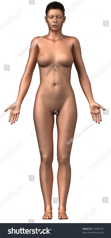 402 Woman Anatomical Position Images Stock Photos Vectors Shutterstock