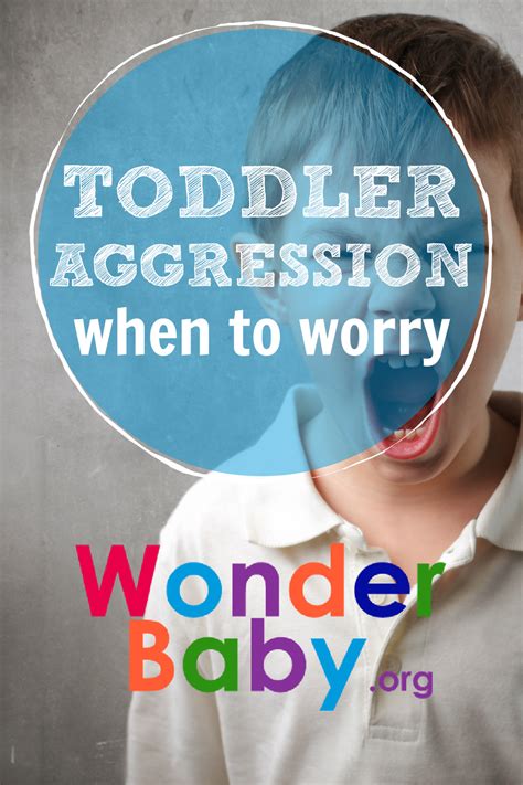 Toddler Aggression When To Worry