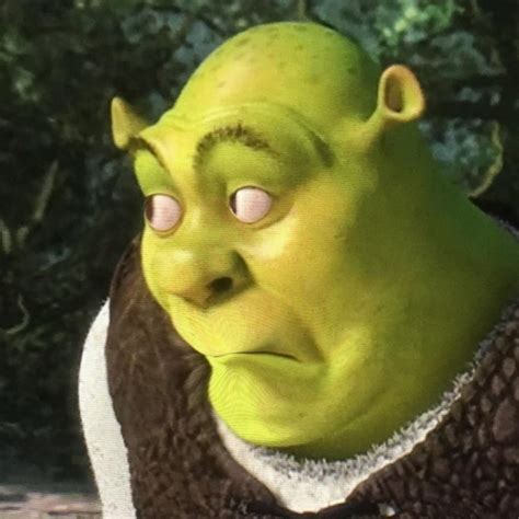 Create Meme Looking For Torches Shrek Shrek Funny Face Shrek