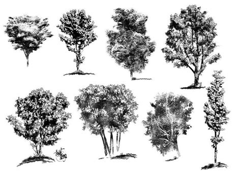 How To Draw Realistic Trees Plants Bushes And Rocks Realistic