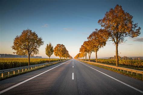 Highway Long Straight Road With Trees On The Side Nature Image Free