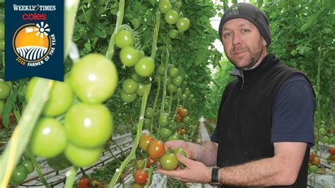 Codex Entries Seedless Tomatoes Australia