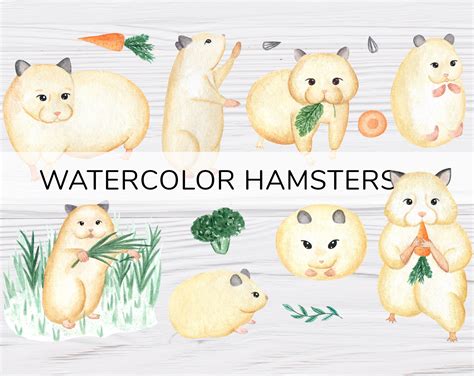 Watercolor Hamster Clipart Cute Animal Print Instant Etsy Uk