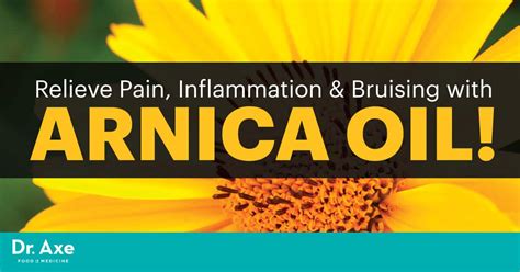 Arnica Oils Pain Relieving Inflammation Reducing Power Dr Axe