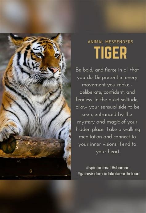 Tótem 🤍 In 2023 Tiger Spirit Animal Animal Spirit Guides Tiger Quotes