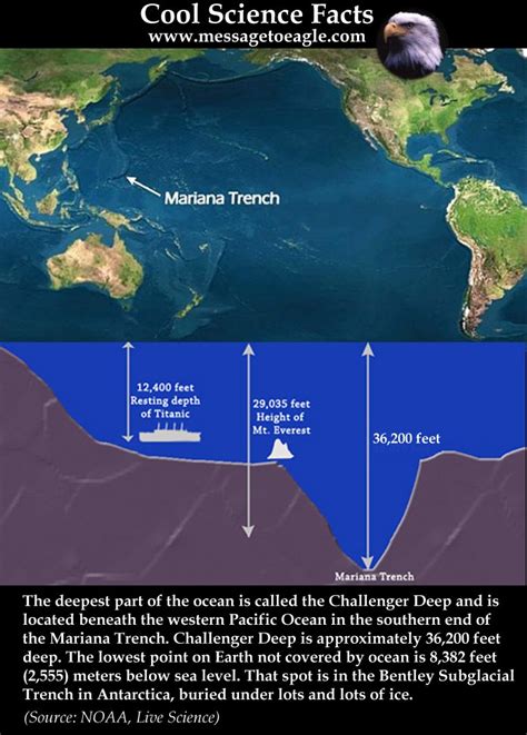 The marianas trench in the western pacific ocean provides one of the most amazing and unique examples. Mariana Trench: Deepest Part Of The World's Oceans ...