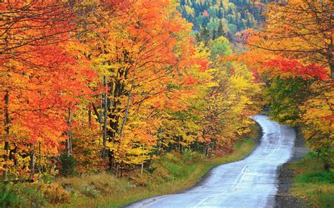 12 Beautiful Maine Fall Foliage Destinations