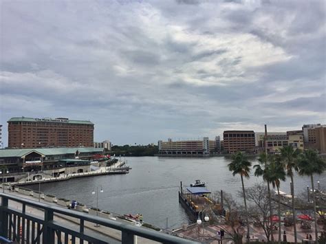 View From 3rd Floor Pool Area Picture Of Tampa Marriott Waterside