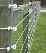 Photos of Electric Wire Fence For Horses