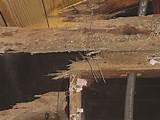 Photos of Termite Damage Examples