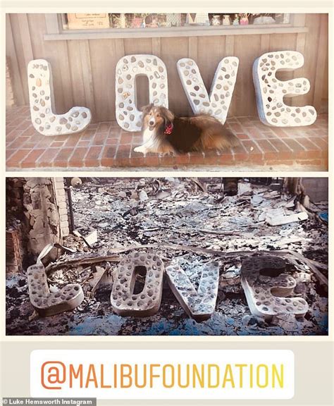 Miley Cyrus Shares A Before And After Photo Of Her House Destroyed By