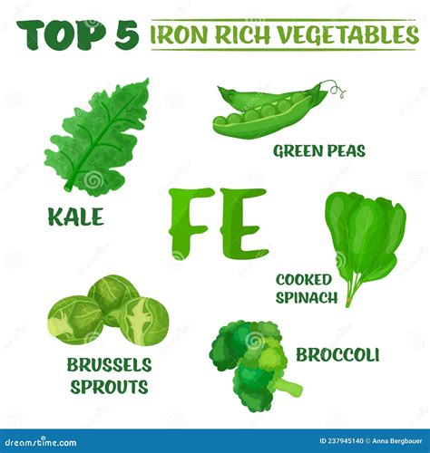 Iron Rich Foods Poster Cartoon Vector 115172231