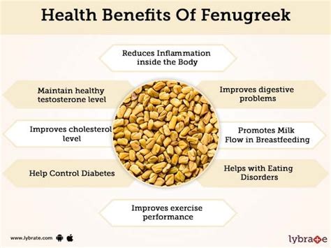 fenugreek benefits and its side effects lybrate