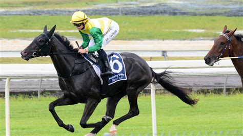Gold Rhapsody Scores A Classy Win Manning River Times Taree Nsw
