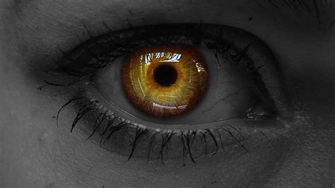 Yellow Black Pupil Iris Evil Eye Lashes Hd Evil Eye Wallpapers Hd