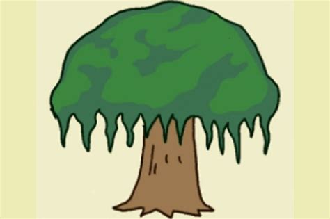 Pohon Beringin Sila Ke Homecare24