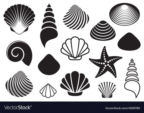 Sea Shells And Starfish Vector Image On Vectorstock In Seashell