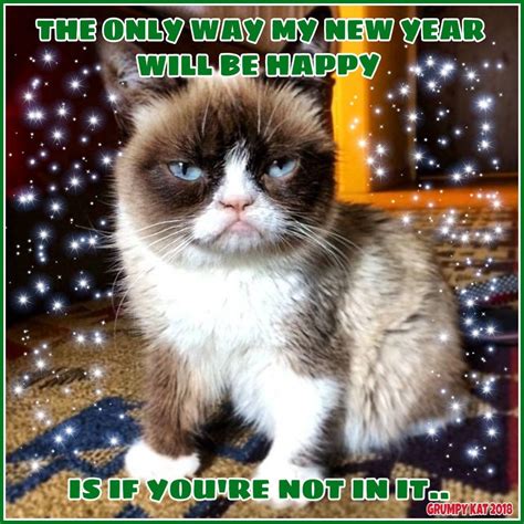 Another Grumpy Cat Meme By The Other Grumpy Kat 2019 Grumpys New