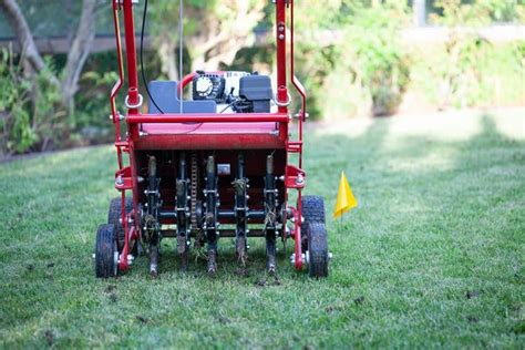 What Is The Best Time To Aerate Lawn In Northeast Peppers Home And Garden