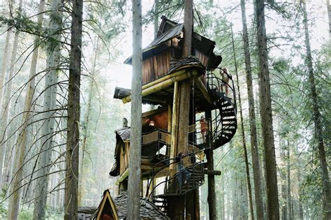 This Enchanted Forest Is Home To Canadas Tallest Treehouse