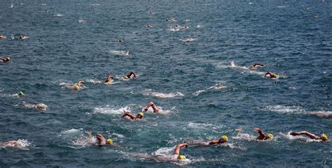 The icon links to further information about a selected division including its population structure (gender, age groups, age distribution, nationality, ethnic group). Istanbul hosts 32nd Bosporus Cross-Continental Swimming ...