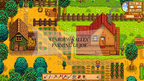 Stardew Valley Farming Guide Setup Layouts And Design Stardew Valley