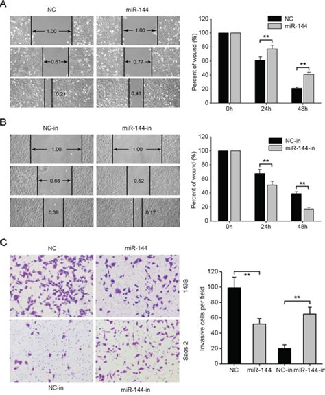 microrna 144 suppresses osteosarcoma growth and metastasis by targeting rock1 and rock2 oncotarget