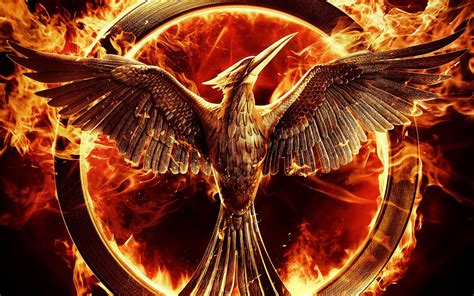 The Hunger Games Mockingjay Part 1 Hd Wallpaper Hintergrund