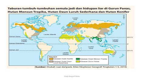 Hutan Daun Luruh Sederhana Geografi Menengah Rendah 2022 Klip Tumbuh