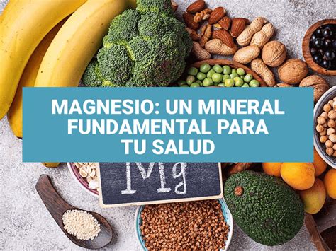 Magnesio Un Mineral Fundamental Para Tu Salud Tu Coach Nutricional