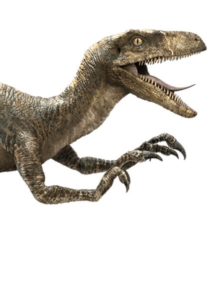 Jurassic Park Velociraptor Sound Effects Fan Casting