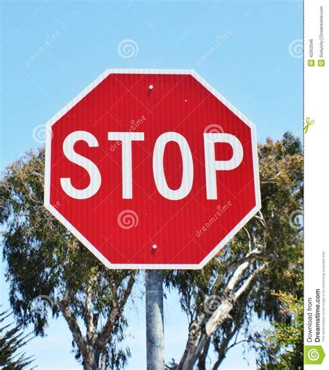 Stop Sign Stock Photo Image Of Large Stop Drive Sign 42952546