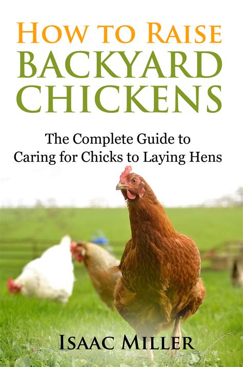 Babelcube How To Raise Backyard Chickens The Complete Guide To Caring For Chicks To Laying Hens