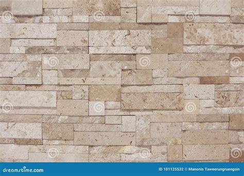 Creamy Light Brown Textured Tile Wall With Lighting From Top Stock