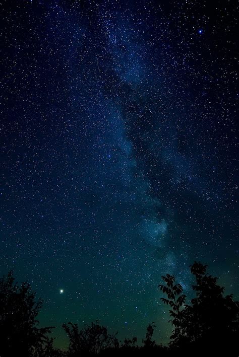 Nature Trees Stars Starry Sky Nebula Hd Wallpaper Pxfuel
